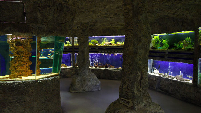 Aquarium. Courtesy of Regional Natural History Museum of Plovdiv