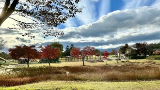 Vast meadows of Koiwai Farm © Alma Reyes