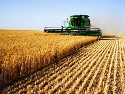 The Green Morocco Plan has a new vision of the agricultural sector