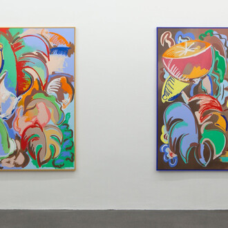 Sol Calero. Solo Pintura, Installation view, Barbara Gross Galerie Munich, 2018.
Photo: Wilfried Petzi, Courtesy Barbara Gross Galerie