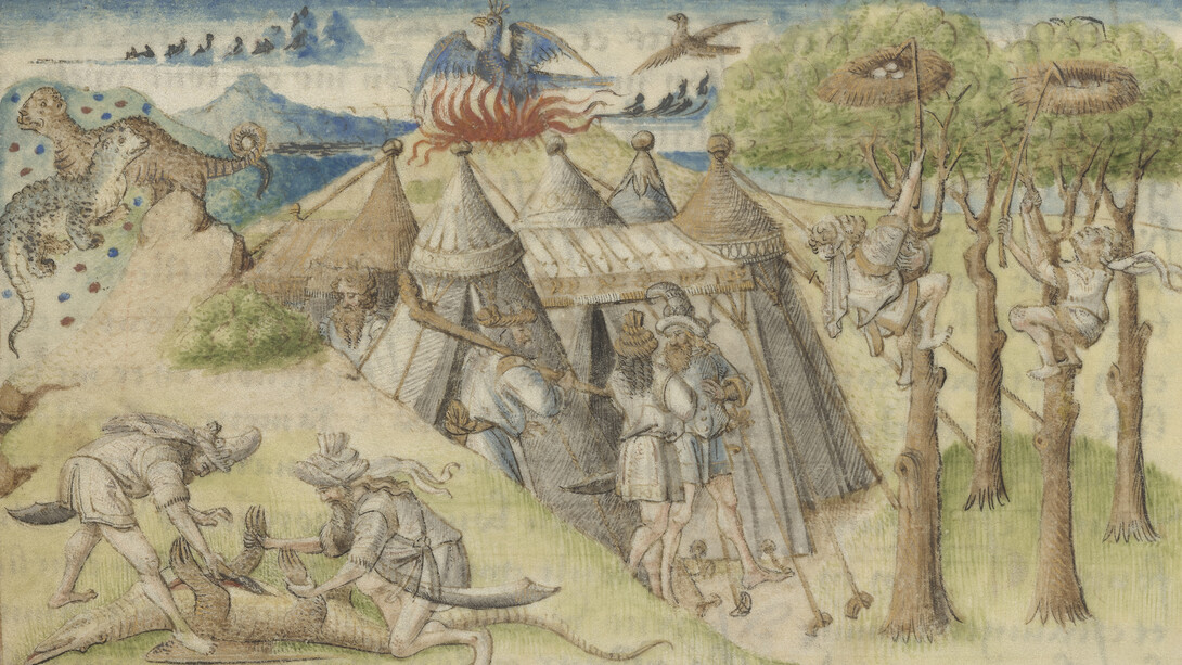 Master of the Geneva Boccaccio, Arabia, in the Book of marvels of the world, France, Angers, ca. 1460 . Courtesy of Morgan Library and Museum