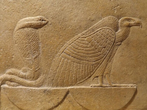 Il Cobra e l'Avvoltoio, animali sacri