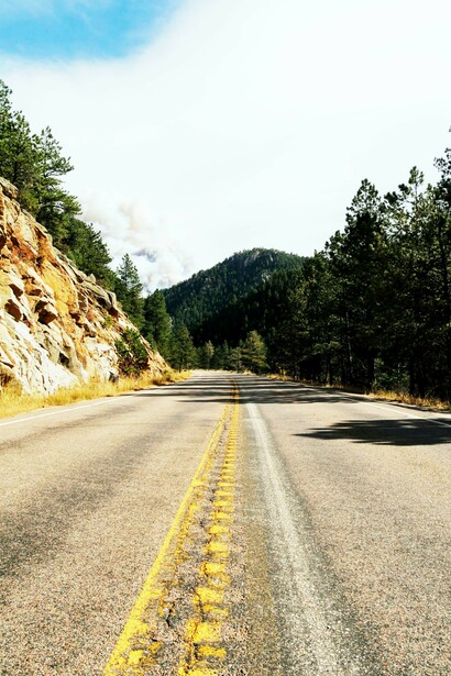 Wildfires have destroyed valuable forests over the last decade