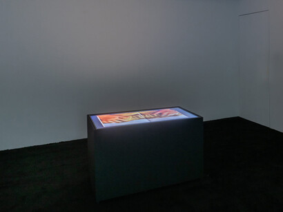 Abbey Williams, Natural sound, exhibition view. Courtesy of Broadway Gallery