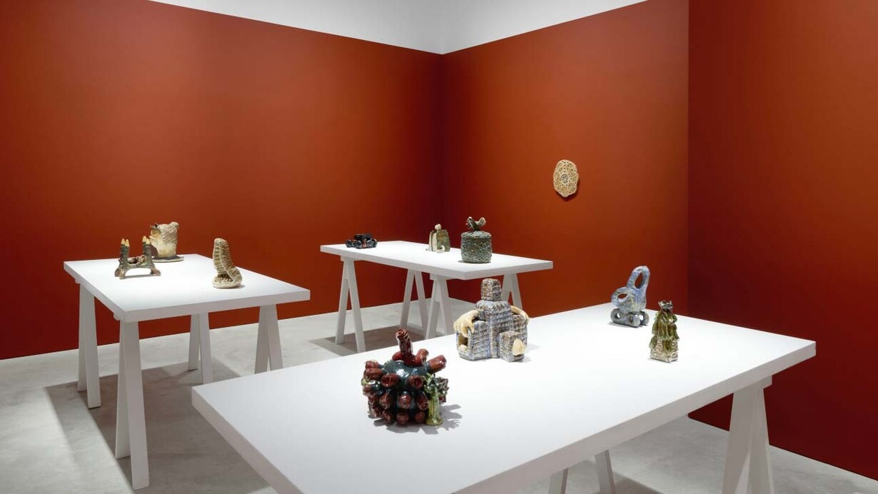 Tecla Tofano, Esa munda macha, exhibition view. Courtesy of James Cohan Gallery