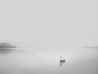 Holism means that One has no separable parts, i.e., within One everything is connected