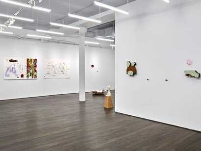 Francesse Dolbrice, 8, exhibition view. Courtesy of White Columns Gallery