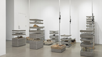 Michael Joo's Concatenations (1991/2026) is a large-scale mixed-media installation measuring 513.1 × 412.8 × 289.6 cm (202 × 162½ × 114 in). Characteristic of Joo's interdisciplinary practice, the work brings together diverse materials and conceptual references to explore connections between nature, culture, history, and systems of knowledge. Courtesy of the artist and Kukje Gallery. Photograph by Genevieve Hanson