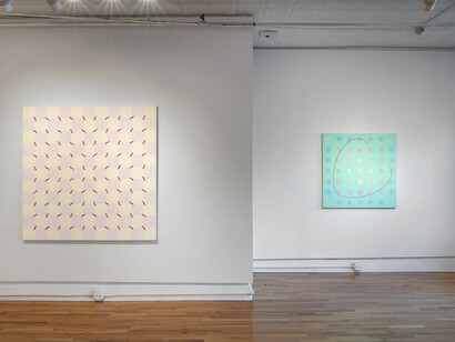 Audra Skuodas, Vibrational vulnerability, exhibition view. Courtesy of Cristin Tierney Gallery
