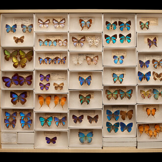 Grainger Science Hub. Courtesy of Field Museum