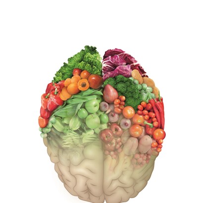Cervello vegetariano