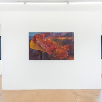 Megumi Shauna Arai, The tongue is the child of the heart, exhibition view. Courtesy of Nina Johnson