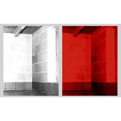 Jonathan Calm, "Jaguar Chamber", 2013 archival pigment print 20 x 96 inches Edition of 5. Courtesy of LMAKprojects, NY