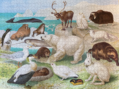 Arctic Puzzle