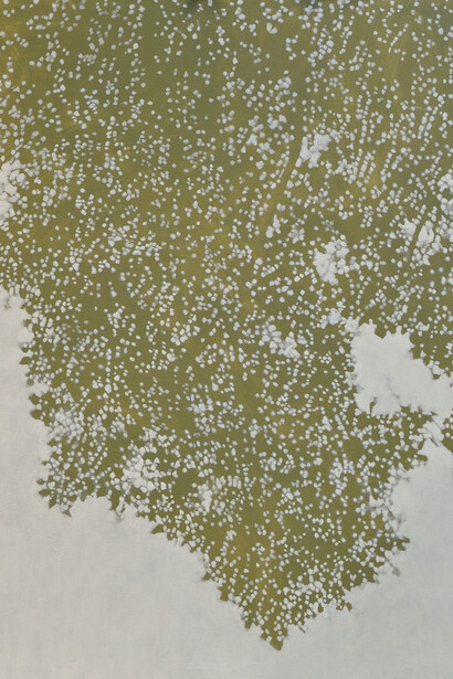 David Kidd, Silhouettes and shadows exhibition. Courtesy of Thomas Deans Fine Art Gallery