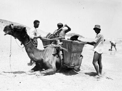 La Colección Scholten se compone principalmente de las numerosas fotografías tomadas por este ávido fotógrafo aficionado, en sus viajes por Europa y Oriente Medio y representan una prueba de la imaginación humana, Tel Aviv, Palestina