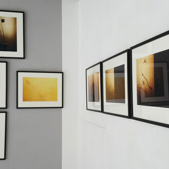Éloge de l’ombre. Courtesy of Galerie Marie-Robin