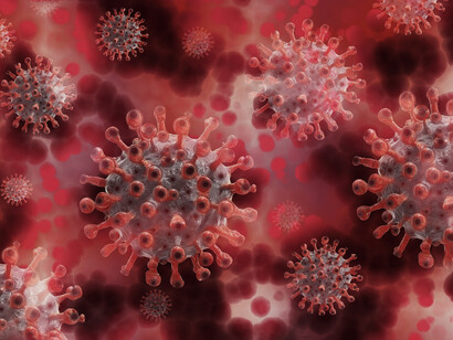 The great Spanish influenza, prototype of modern pandemics