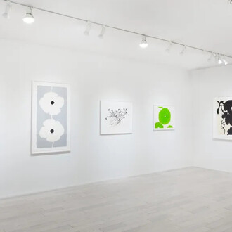 Donald Sultan, Flowers, exhibition view. Courtesy of Mary Ryan Gallery