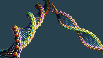 Die Bewegung der DNA in 3D