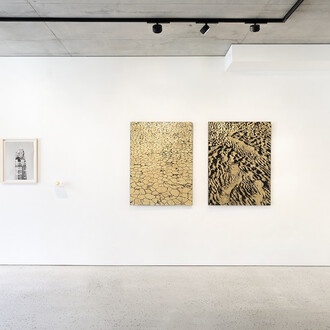 Krassimir Terziev, Base and superstructure, exhibition view. Courtesy of Sarieva/Gallery