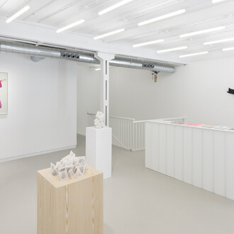 Ana Laura Aláez, Snowfall with saliva, exhibition view. Courtesy of the Ryder Projects