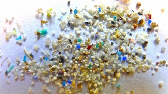 La microplastica rappresenta una preoccupazione crescente negli habitat naturali
