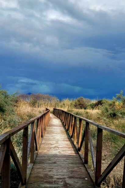 L'area svolge un ruolo cruciale nella protezione dell'ambiente costiero e nella conservazione delle risorse idriche, fungendo da filtro naturale per le acque che sfociano nel mare. Riserva naturale Foce Volturno Costa di Licola. Oasi dei Variconi. Castel Volturno, Italia
