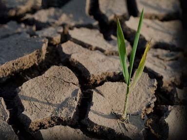 Sufficient technologies are available to meet the world’s energy needs without exceeding the Paris limits