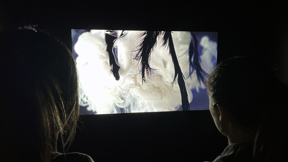 Patricia Olynyk, Black swan in three variations, exhibition view. Courtesy of Bruno David Gallery