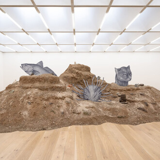 Claudia Martínez Garay, Wakchakuna, exhibition view. Courtesy of GRIMM Gallery