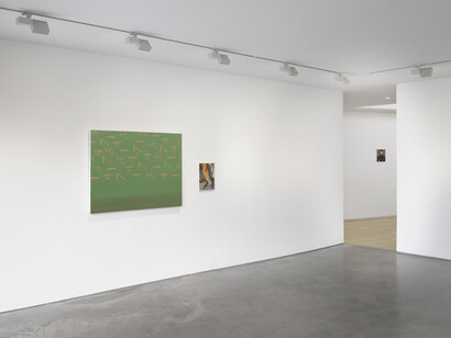 Dexter Dalwood, English painting, exhibition view. Courtesy of Lisson Gallery