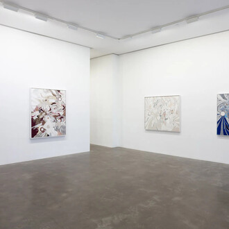 Ryan Wallace, Second skin, exhibition view. Courtesy of Susan Inglett Gallery