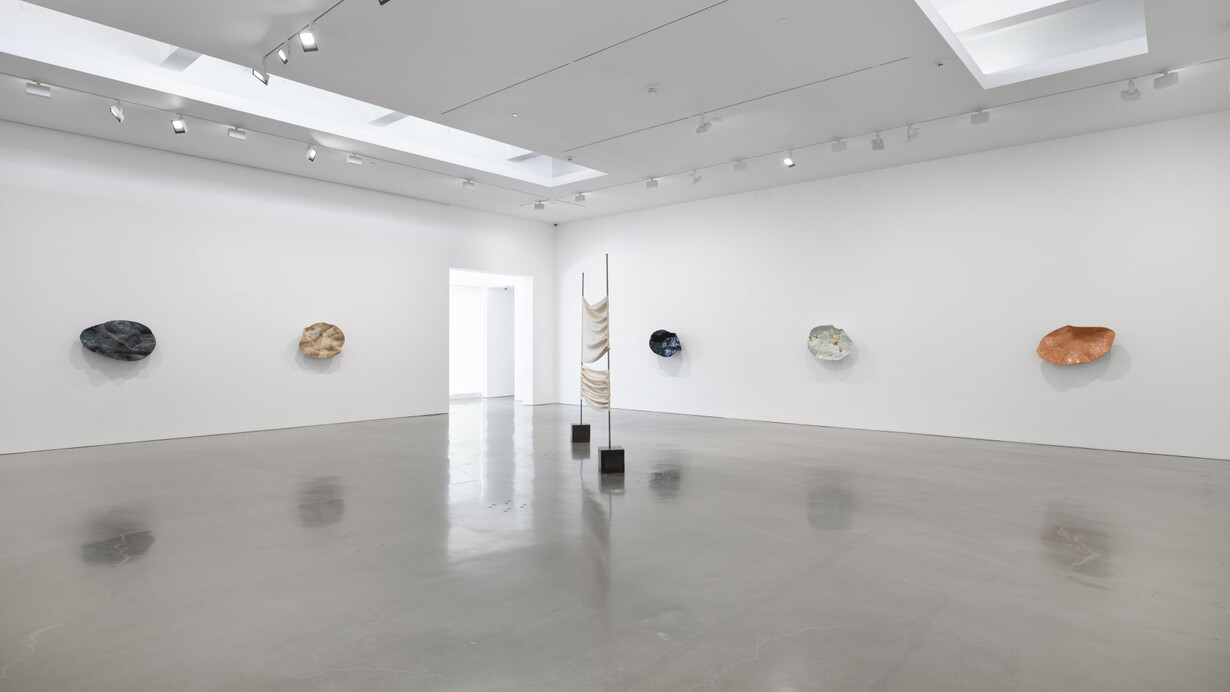 Liz Larner, Magnetic instinct, exhibition view. Courtesy of Regen Projects