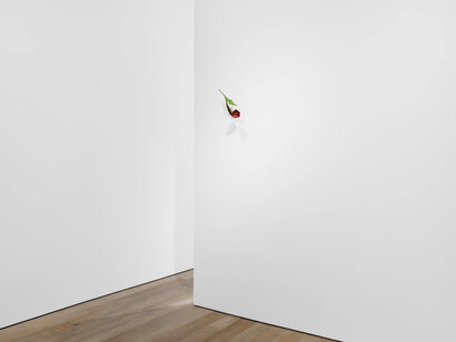 Suda Yoshihiro, exhibition view. Courtesy of Sadie Coles HQ