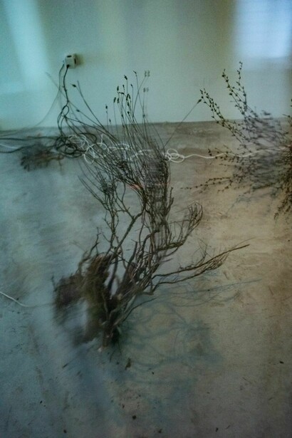 Nika Erjavec, (Un)objectivity, exhibition view. Courtesy of MG+MSUM