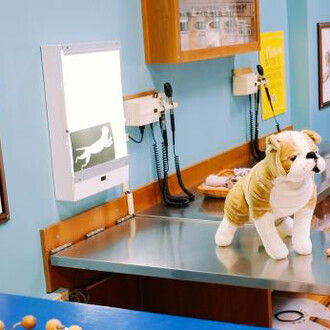 Pet Hospital. Courtesy of Portland Children's Museum