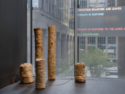 Nour Mobarak, Dafne phono, exhibition view. Courtesy of MoMA