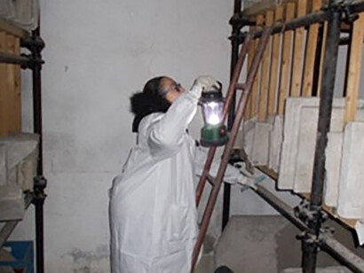 Age 50, climbing a ladder to pick up a 20+ lb. stone grave marker or epitaph, Naples Archaeological Museum depository, Naples, Italy
