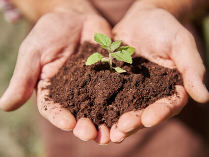 Una persona sosteniendo en sus manos un poco de tierra con una pequeña planta. La tierra es el elemento de la fertilidad