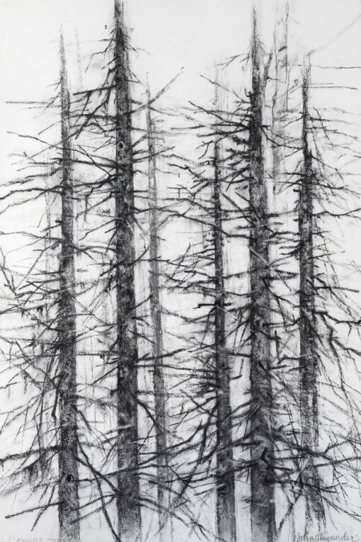 John Alexander. Courtesy of Berggruen Gallery