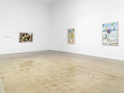 Hadi Alijani, The mutilated gaze, exhibition view. Courtesy of Michael Kohn Gallery