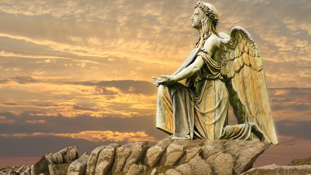Meet the Angels
