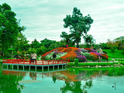 Arreglos florales en el Jardín Japonés, Buenos Aires, Argentina
