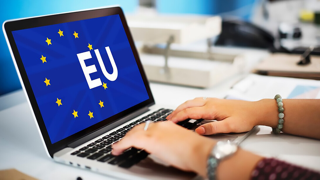 Female hands using a computer with EU logo displayed on the screen, representing digital diplomacy and economic initiatives