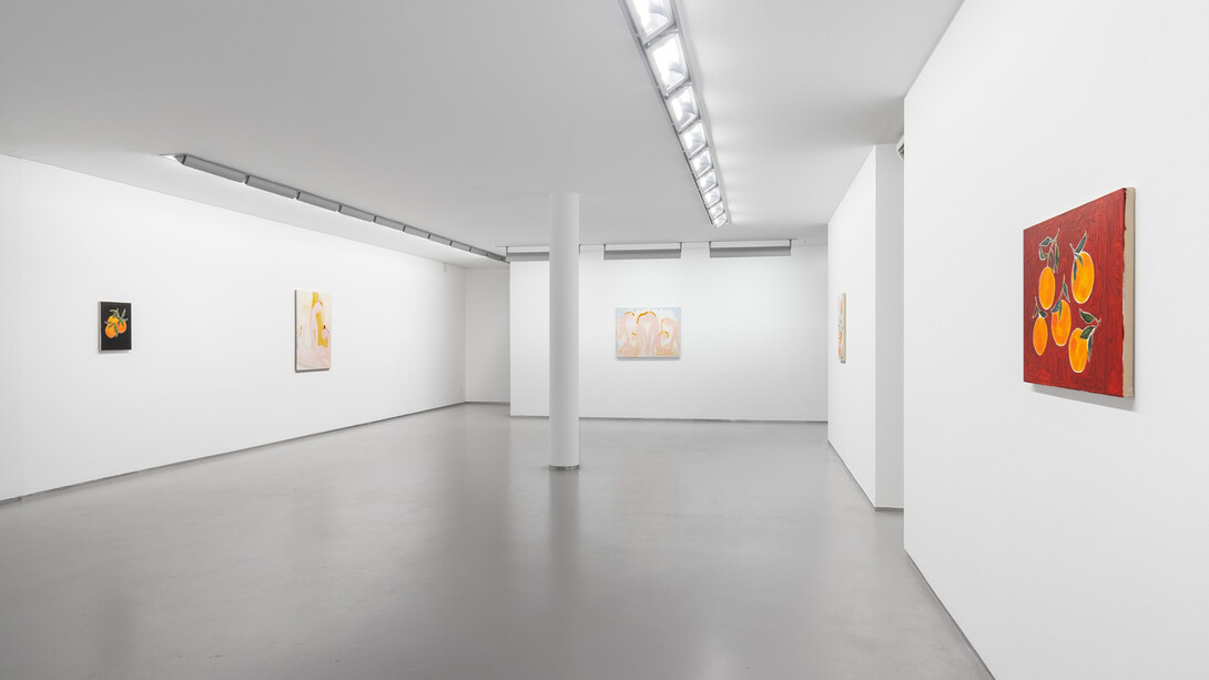 Sarah Bogner, Fallende früchte, exhibition view. Courtesy of Galerie Bernd Kugler