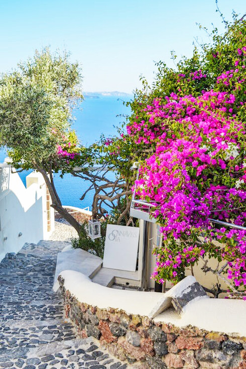 A charming stone walkway meanders beneath the lush bougainvillea blossoms in Naxos, Greece
