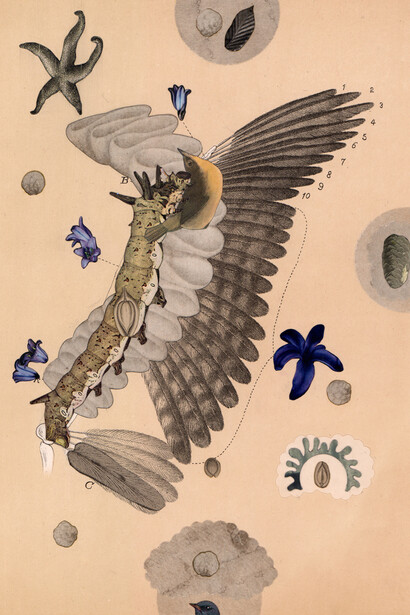 Doug Stapleton, Icarus: mimicking birds, 2023. Courtesy of Bert Green Fine Art
