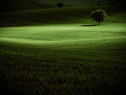 Rural Britain