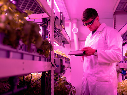 Científico estudiando plantas. Se busca mejorar lo que comemos a partir de la investigación